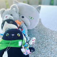 ねこねこ