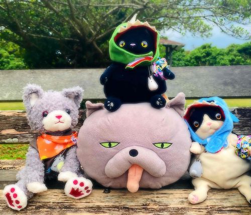 初めまして！
登録完了なの！！
オレたちはねこねこなの！！
俺はお顔の大きいお兄ちゃんネコの｢じゅん｣なの！
よろしくなの！
上に乗ってる黒い子は｢くろちゃ｣
右の白いのは、生意気な｢ハチワレ｣
左のモコモコの子は｢グラナータ｣なの！！
よろしくおねがいしますなの！
じゅん 5さい