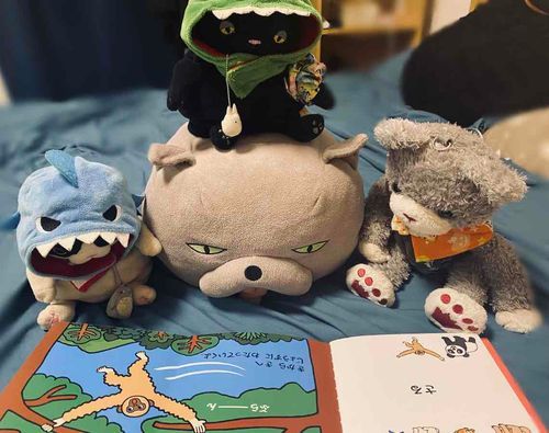 きょうはみんなで、ご本をよんでるの！
おさるさんが、ぷらーんってしてる！
ぼくはいつも、じゅんの上でよんでるんだよ📕✨
くろちゃ 1さい