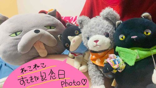 ちょっとまえの17日は、みんな幸せな素敵な一日だったの！
素敵な日だからお写真も撮ったの！！
4匹だから横長になっちゃったの✌︎︎( ◜▿◝ )

じゅん 5歳