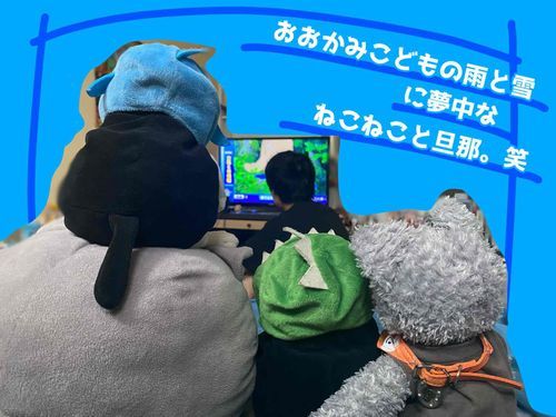 おおかみこどもの雨と雪を見てた時に撮られちゃったみたいにゃの(๑°ㅁ°๑)‼
オレたち、真剣に見てたのに〜！！(ᯅ̈ )

じゅん 5歳 ♂