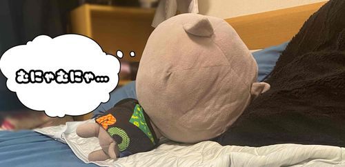 ちょっとみんな見てほちいの！！
オレが眠ってるところをこっそり撮られちゃったの！！(ﾟﾛﾟ)
オレ、いつもこんな感じに見えるなんて衝撃的なの…！！(。_。)………

じゅん♂ 5歳