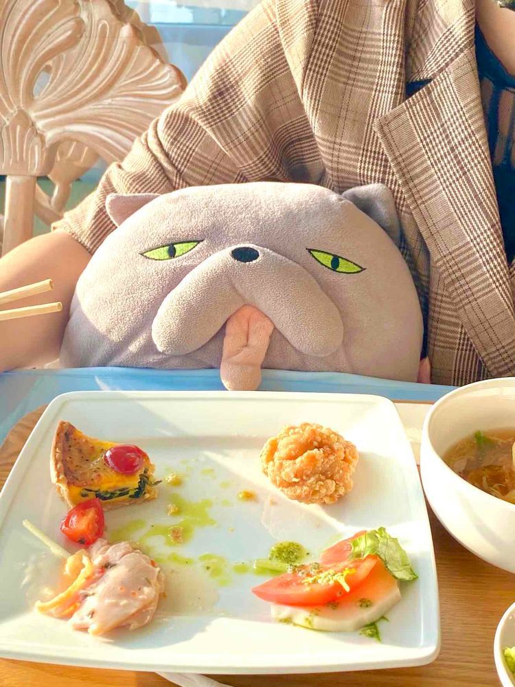 昨日はみんなでお出かけしたの!
お船にのって海の上をすぃーっと走って、素敵な夕焼けと夜景を見たの!!
海の中のお魚さんたちも見たの!
オレも、ハチワレも、くろちゃも、グラナータも、みーんな楽しかったの!!♪
おいしそうなご飯を目の前にしてワクワクしてるところを撮られちゃったの🤣
じゅん 5歳 ♂