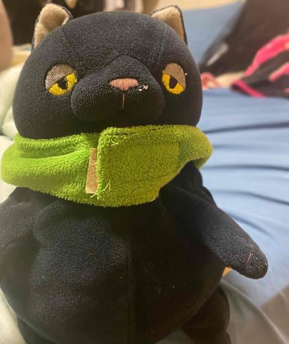 こんばんは！ぼくはくろちゃだよ〜❁⃘*.ﾟ
昨日、おいちそうなふわふわをもらったんだぁ〜！
食べてみたら、とーってもおいちかったの´`*
クリームがあまくてとっても幸せな気分だったよ〜❁﻿.
夢中になって食べちゃった( ¨̮ )

くろちゃ ♂ 1歳