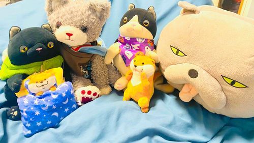 えっと、ボクはグラナータだよ。
今日は新しいなかまたちがお家に来たよ❁﻿
カワウソくんって言うんだけど、この子達、お家に他にもいたような気がする…。
のんちゃのお友達がプレゼントしてくれたんだよ❁⃘
どんどんにぎやかになって、ボクは嬉しいな。

グラナータ 4歳 ♂