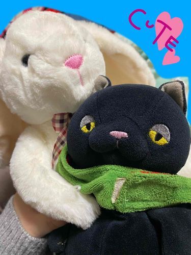 おはよう☀
またぼくが とうこうするよ❁⃘*.ﾟ
くろちゃだよ〜！
さいきんね、のんち の おしごとさきに、よくくる おじさんがいるんだって！
そのおじさんがね、のんち の おたんじょうびがちかいから、うさちゃんのぬいぐるみをくれたんだって〜( ¨̮ )
とってもかわいいうさちゃんで、ぼくとっても嬉しいの〜♪
おみみがあったかくて、きもちいいんだ〜❁⃘*.ﾟ
おじさんとは あったことないけど、ありがとうだね❁

くろちゃ 1歳 ♂