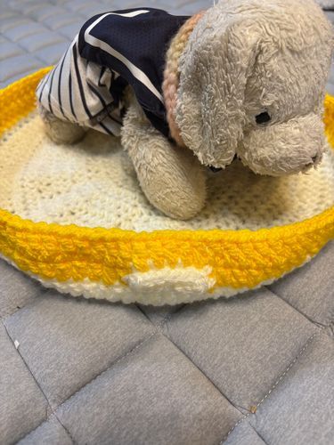 主みるがみるの休憩場所を作ってくれたみる🐶🏠ふぐでかわいいみる🐡
