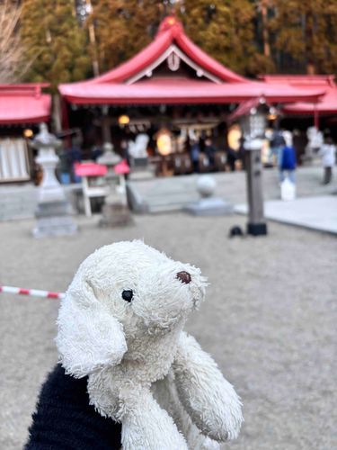 おまいりしにきたみる⛩🐶