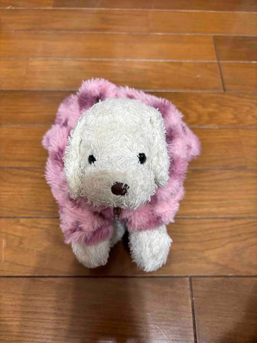 みるね〜もうちょっとで19さいになるみる〜🐶主みるは20さいだよ〜