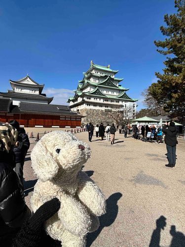 名古屋城みる〜🏯