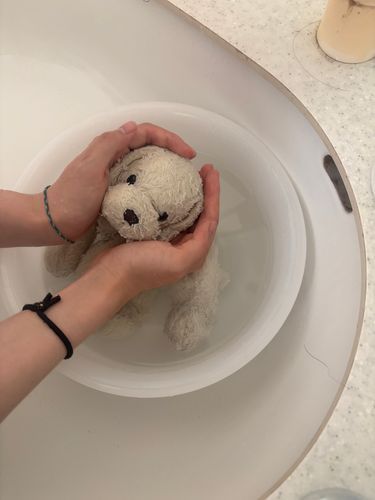 あらってもらってるみる🐶
