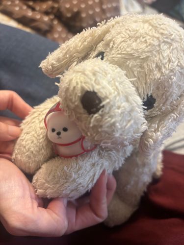 みるににてる？🐶