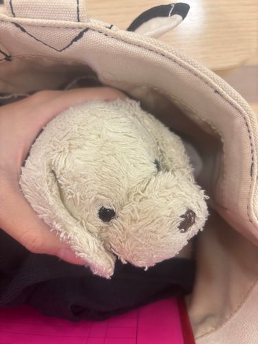 一緒に着いてきたみる
ぬしみる大丈夫だよ