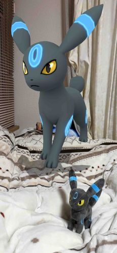 ポケモンGOのブラッキーと一緒に！