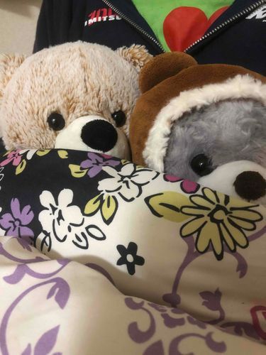 なんだか さいきん とっても さむくなったなぁ🧸💦
ゆだん してると とうみん しちゃいそう だから ゆみちゃんの おふとんに いれてもらったんだぁ🧸✨
でも これはこれで あったかくて ねむたく なっちゃうなぁ〜🧸💤