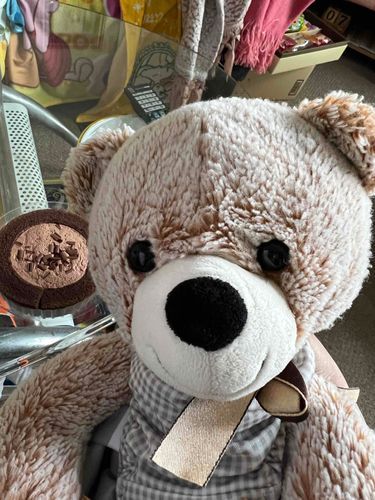 きょうの あまいものは ちょこの ろーるけーきだよ🧸🍰
すごく あまそうだったけど たべてみると ほどよい あまさで ぱくぱく たべちゃったぁ🧸💓 
なんだか あまいものは ひさしぶりで おいしかったなぁ〜🧸🎵