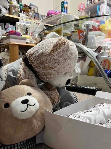 じぃー🧸👀