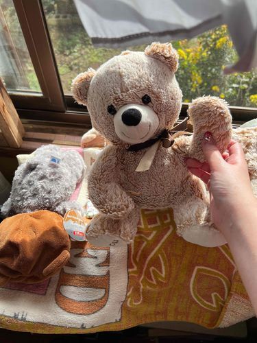 ひさしぶりぃ〜🧸✨
いっしゅうかんくらい ゆみちゃんの じっかに かえってたんだぁ〜🧸🏡
いっぱい あそんで たのしかったよぉ〜🧸🎵
いっぱい とうこうするね🧸📸