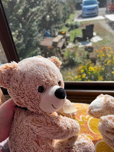 ひなたぼっこも なんども させてもらったよ🧸☀️
さいきん さむいから ひなたぼっこが まいぶーむ なんだ🧸✨