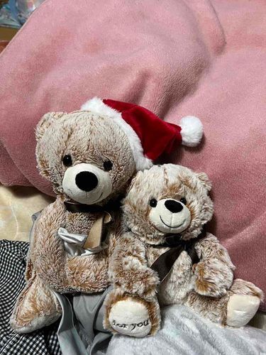 あたらしい なかまも ふえたんだよ🧸🎵
おなまえは みにごろうちゃん🧸✨
これから よろしくね🧸🧸👋