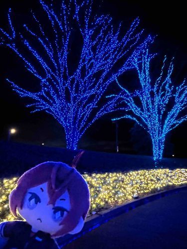 イルミネーションを見に行ったよ
風が強かったけどとても綺麗だったよ。