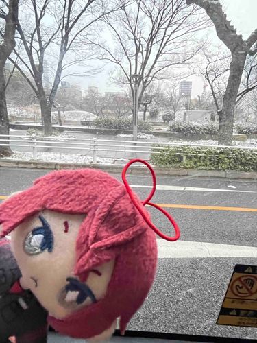 今から遊園地に行くよ。雪が降っていてアトラクションが動くか心配だね。