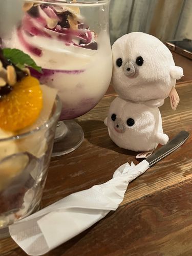 🍨ˊ˗ 🦭🦭ｶﾝｻﾂﾁｭｳ