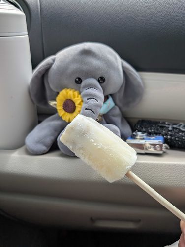 やーこんあいすくりーむをたべました