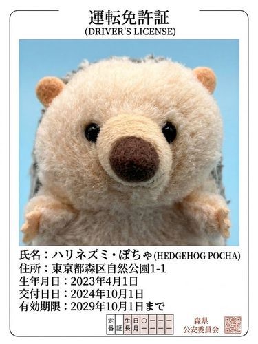 ジョーズの運転免許証🪪
交通ルールまもってます！
