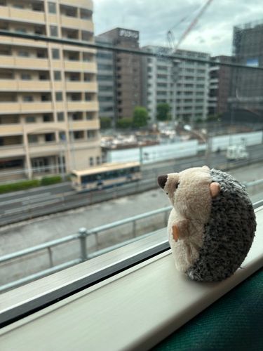 でんしゃって、はやいね🚃