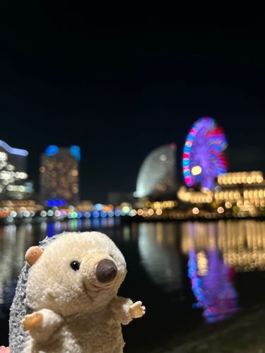 ロマンティック〜🌃🎡💫✨