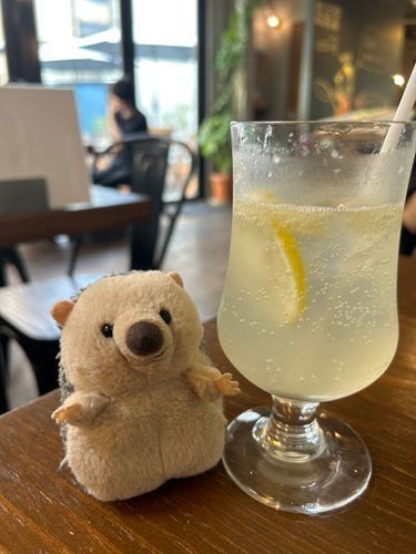 しゅわ🍋🍹