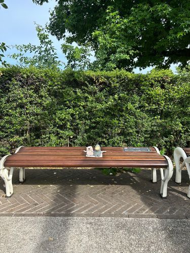 ぽーちゃんとおさんぽしたよ🦤