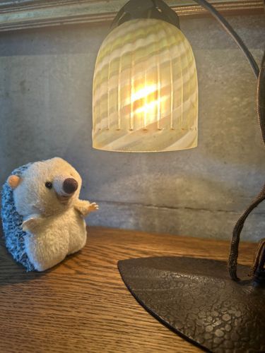 これって、願いを叶えてくれるランプかなぁ？🕯️