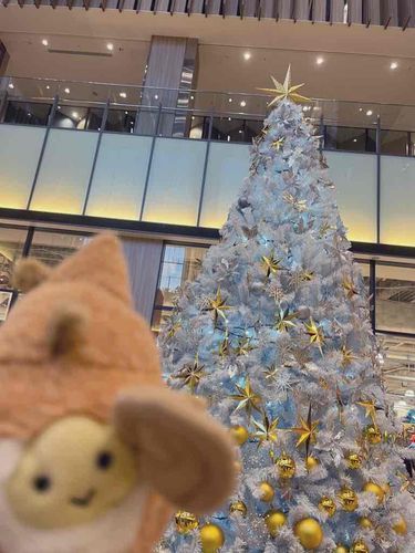 クリスマス　わくわく