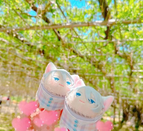 おおふじはみごろをすぎていたけれど よいんがのこっていてたのしめたよ。みごろのときにまたこよう