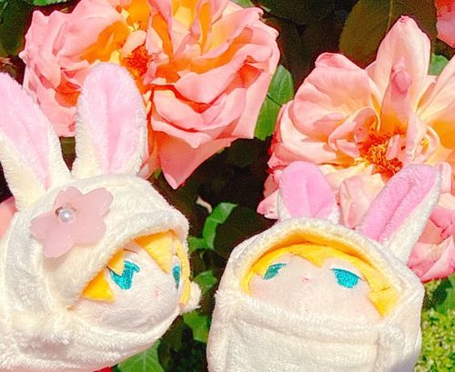 ややっ！かがみがあるゃ！とおもったら おとももちのたゃだたゃ。ほんかのおはなしをしながら ばらえんをいっしょにおさんぽしたのゃ〜