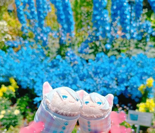 あおいおはなとぱちり。おれたちのひとみとおなじいろかな。このおしゃしん、おとももちのおくちがにゅっとしててかわいいね