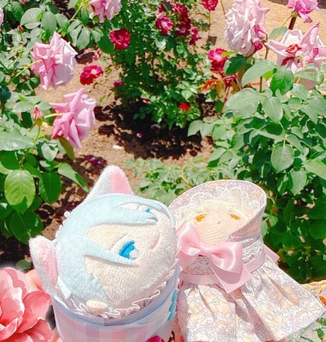 おとももちとぱちり。でぃずにぷりんせすのようなかわいさかな。このときちょっとおなかがすいてて…かいのあかちゃんみたいでおいしそうっておもって…な、なんでもない