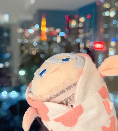やけいときらめくおれかな。じつはやけいにぜんぜんきょうみがないあるじ。なぜかおれのしゃしんはとりたがるんだ。ふしぎだね