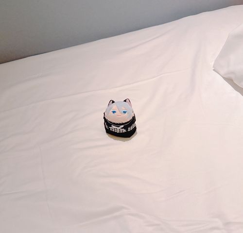ほてるにちぇっくいん！きょうはきょうとはくぶつかんにおじゃましたよ。あすもたのしみかな