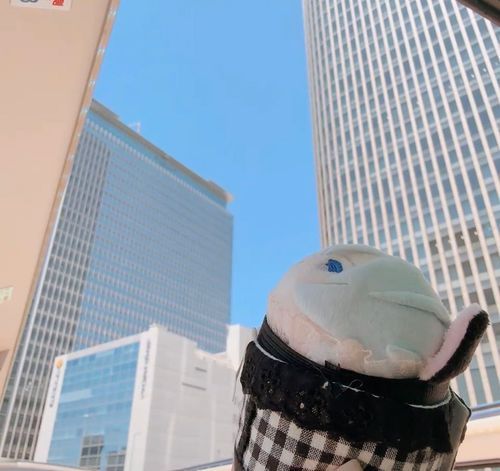 おおさかのまちをめぐるばすつあーにもさんかした。やねがないばすで びるぐんのあいだをぬってはしったよ。かぜがきもちよかったかな