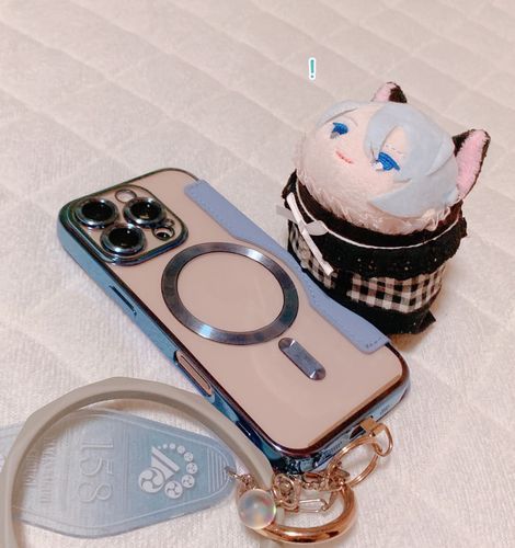 あるじ すまほわすれておでかけしちゃったみたい。ていきもぺいも おれのしゃしんもこのなかにはいってるのに…こまったかな