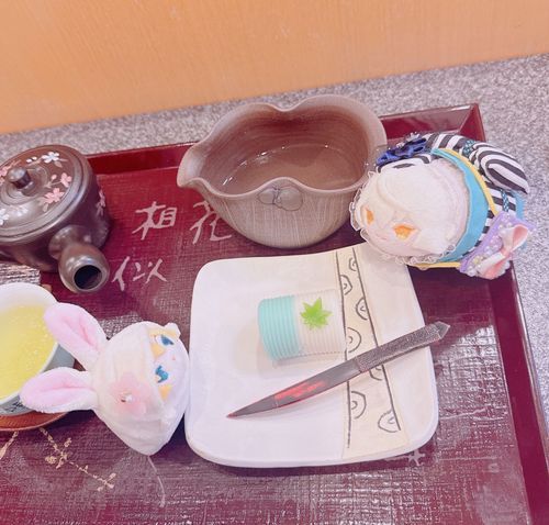いつものおみせでおちゃをいただいたゃ！ほんかとかふぇにいくには どうしたらいいかそうだんしながら ばちばちのねりきりそうだつせんをしたのゃ