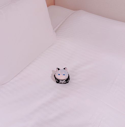 ほてるにちぇっくいん！おれはおへやでくつろぐので あるじは のみものをちょうたつしてきてくれるかな。ぶんぎょうだよ