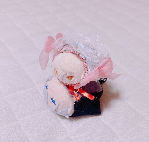おはもに こもちひげです…。あるじのおなかがひえてるからこうやってあたためるの…ってちょぎくんにせつめいしてるところ…☺️