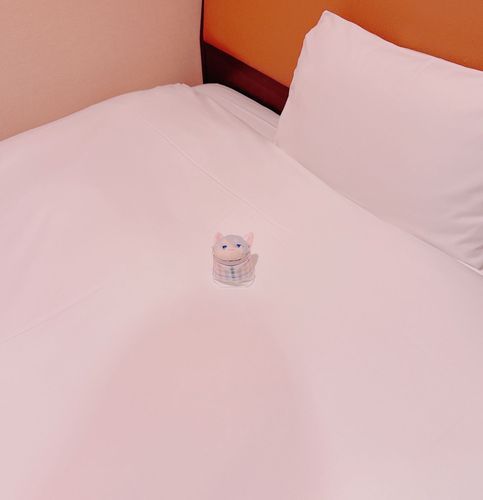 ほてるにちぇっくいん！おなかがすいたかな。しゅうへんのていさつにくりだすか