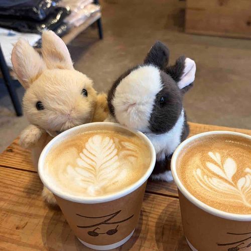 ちもしぃらびっつ🐰
あまえんぼのまろんちゃん
しっかり者のみるくくん