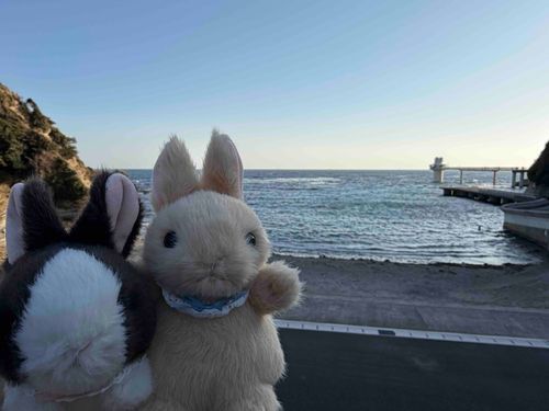 はじめての海🌊🐠