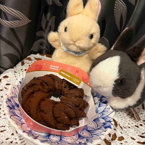 ミスド久しぶりに食べたよ🐰
甘くてほろ苦で美味しかったね